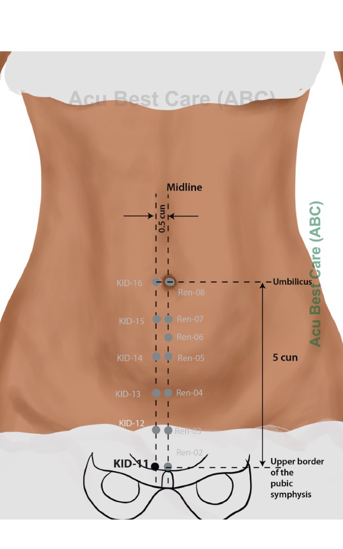 Acubestcare Meridian K-11 or KID-11